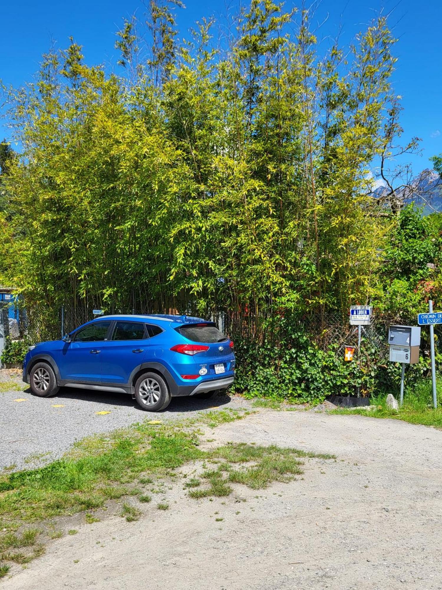 Rhone Cottage 4 Noville Dış mekan fotoğraf